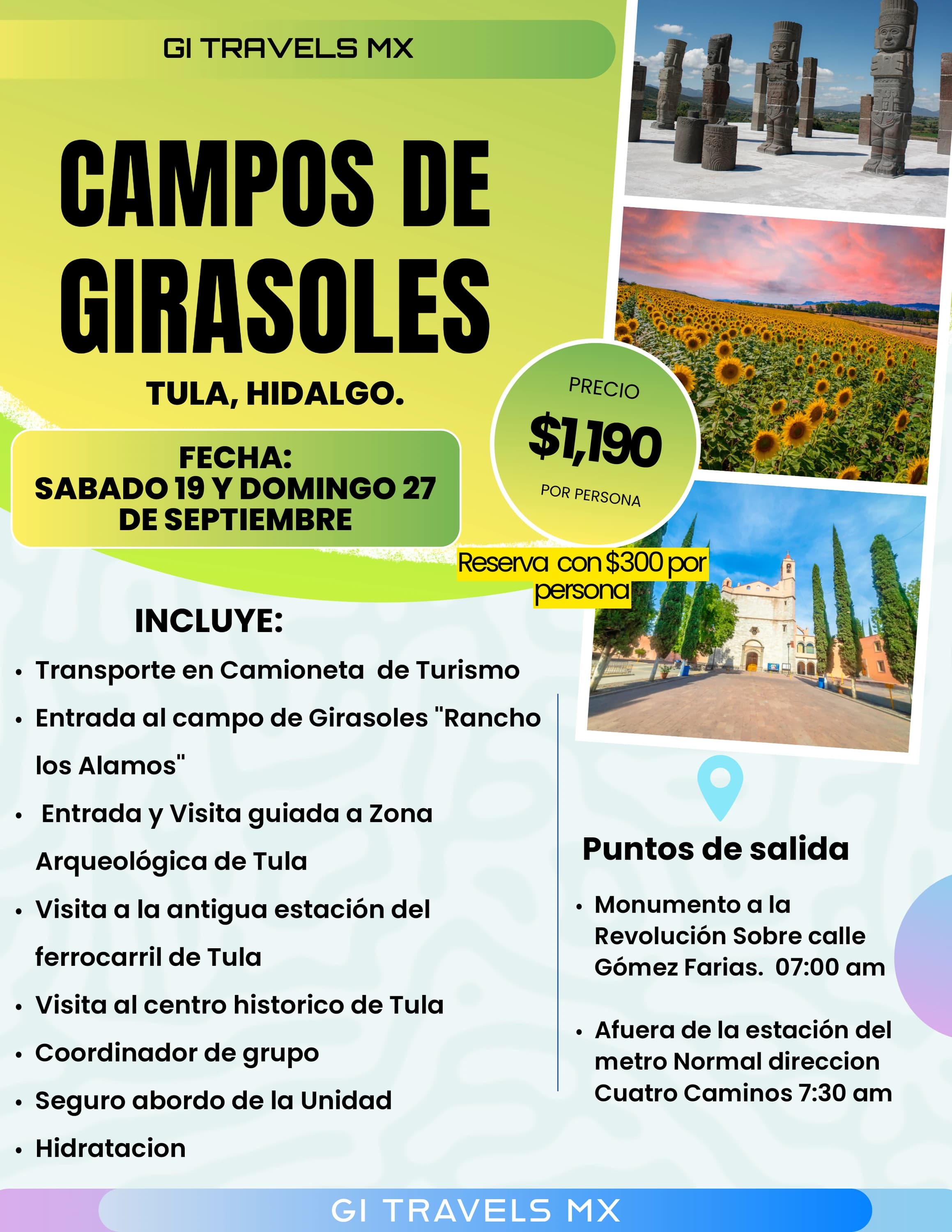 Campos de Girasoles — imagen informativa completa